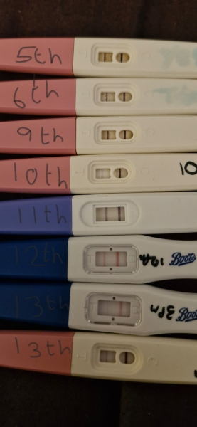 Miscarriage 4 weeks ago but positive tests