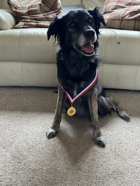 The Continuing Support Thread for Anyone Trying to Lead an Alcohol-Free Life Autumn 2024