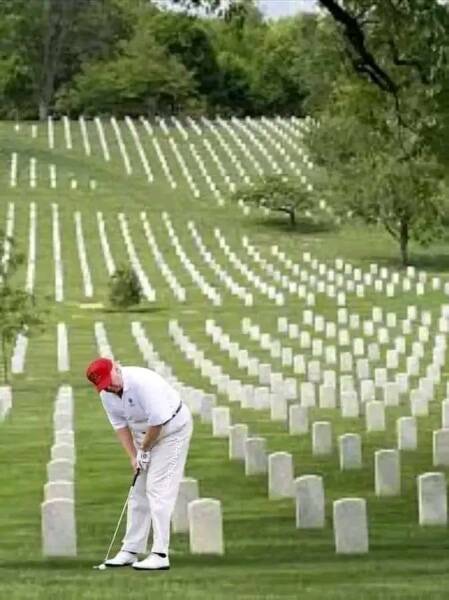 It's not over until the Cat Lady sings - Trump thread #133