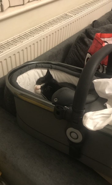 Royal Style: monkey nuts or emeralds? The discussion continues...