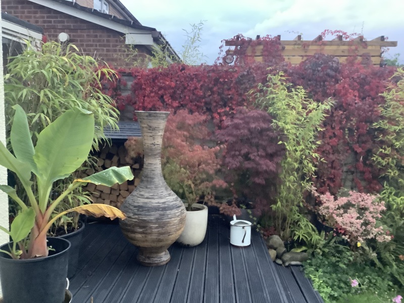 Les Bas Bleus, The Bluestocking...