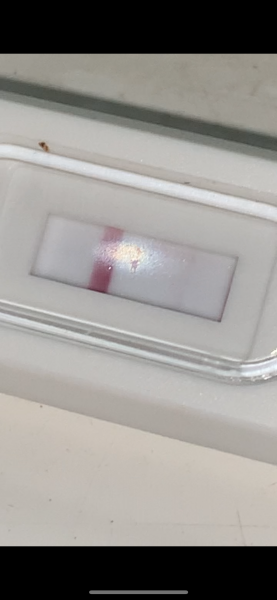 Morrisons Tests, Any advice?