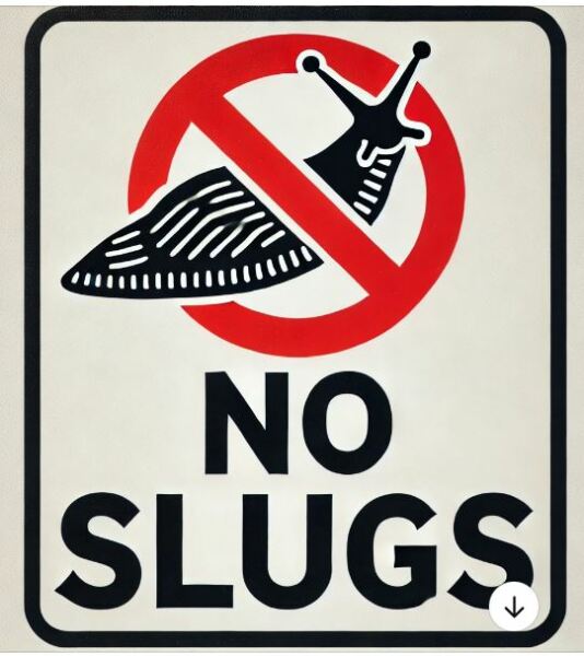 How do I stop slugs coming in my house?