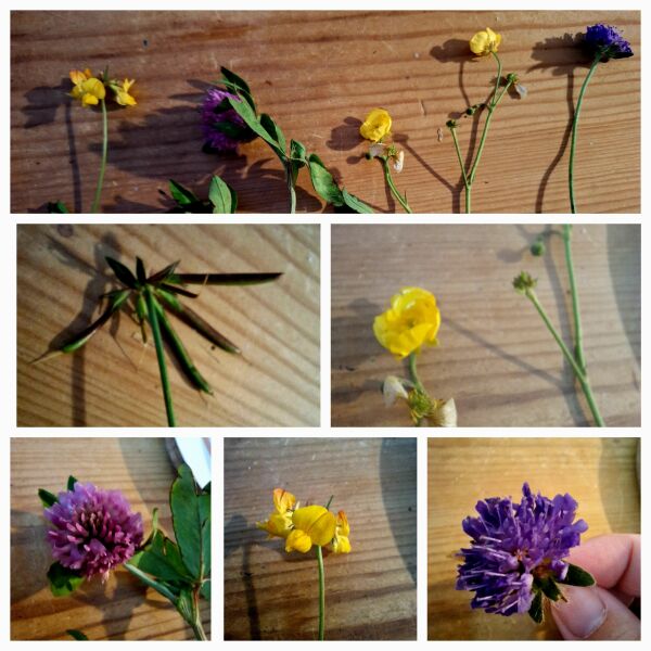 The Autumnal Christmas Chronicles Preamble thread