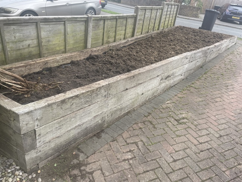 Advice on plants for a sunny driveway bed....