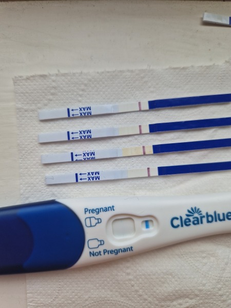 Clear blue test. Evap line or positive