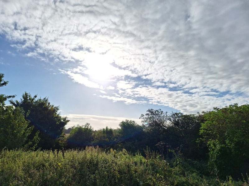 The Autumnal Christmas Chronicles Preamble thread