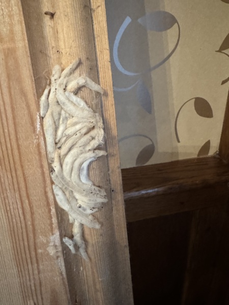 Any idea what this is?!!!