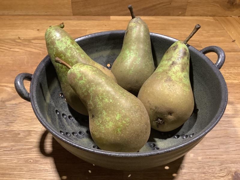 Toasties can we go on chatting forever? Looks like it!