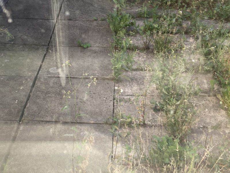 To be this worried about subsidence?