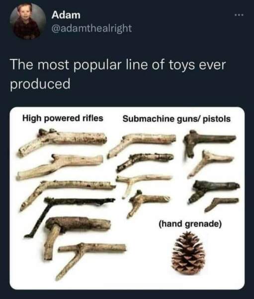 What toy do you refuse to allow in the house?