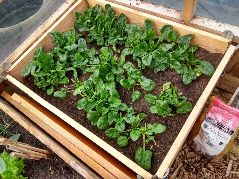 12x16 greenhouse photos?