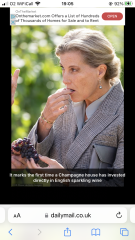 Royal Style: monkey nuts or emeralds? The discussion continues...