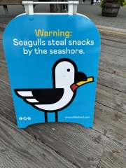 Come and tell me your dull and unexciting news 31: Calmly through the day