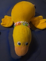 Lost Nattou Quack Quack Duck