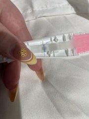 Pregnant or not ? Clear blue