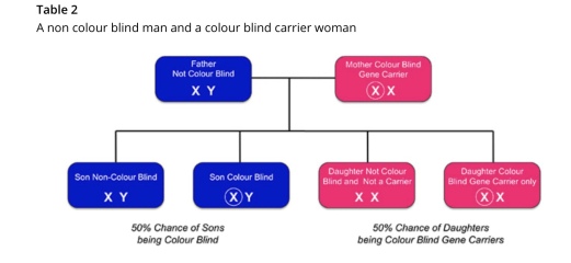 Do people just not know what Turquoise is?