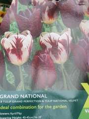 Autumn - Gardening Jobs to do this Season (Sep, Oct, Nov)