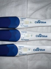 Clear blue evap/am I pregnant?