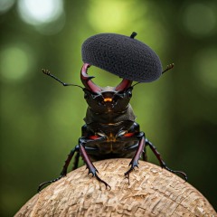Les Bas Bleus, The Bluestocking...