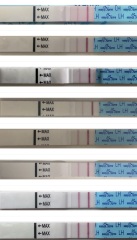 HELP ! Is this my LH peak ?