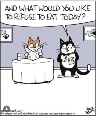 Passports, buckets and spades - the Excellent Cats go on their holidays