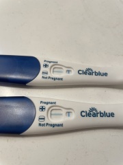 Pregnant or not ? Clear blue