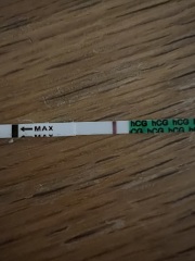 Anyone about to go into an ovulation week?