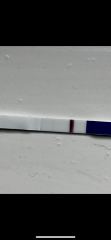 11dpo are these too faint?