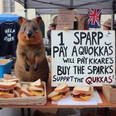 Les Bas Bleus, The Bluestocking...