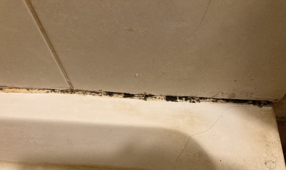 Mould/mold magic