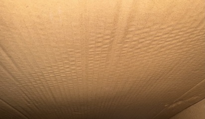 To worry about mould on a cardboard box?