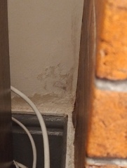 Rising damp advice please