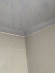 Is this mould, dirt or what?