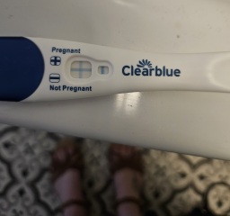 It's finally happened, 5 weeks pregnant.
