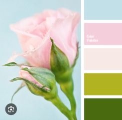 What wall colour to go with lime green sofa?