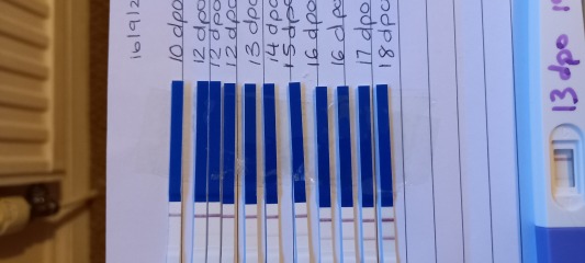 TWW buddies? Ovulated on the 3rd!