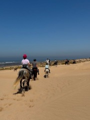 TTC #1 no previous pregnancies cycle #6 - looking for others in the same boat!