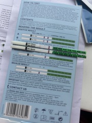 Pregnancy Test - Confusion/Advice.