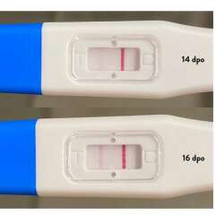 TWW buddies? Ovulated on the 3rd!