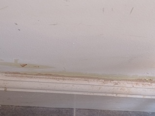 Rising damp advice please