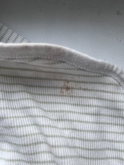 Please help, can this be mould/mildew?