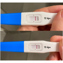 TWW buddies? Ovulated on the 3rd!