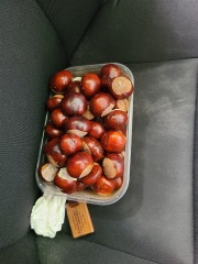 The Autumnal Christmas Chronicles Preamble thread