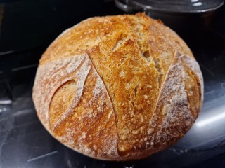 Behold my Sourdough