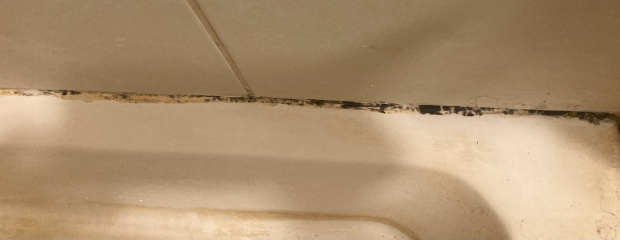 Mould/mold magic