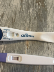Anyone doing IVF round in September?✨