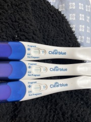 Pregnant or not ? Clear blue