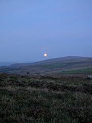 Any Witches here? Part 20