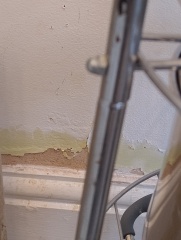 Rising damp advice please